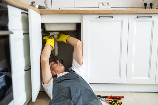 Best Boilers & Radiators  in Beecher, MI