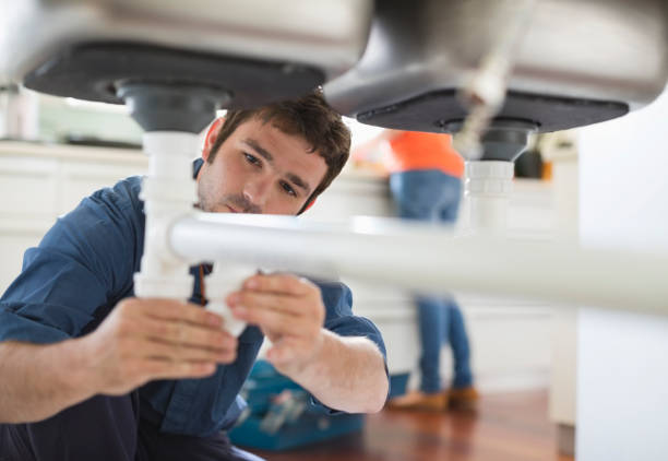 Best Residential Plumbing Services  in Beecher, MI